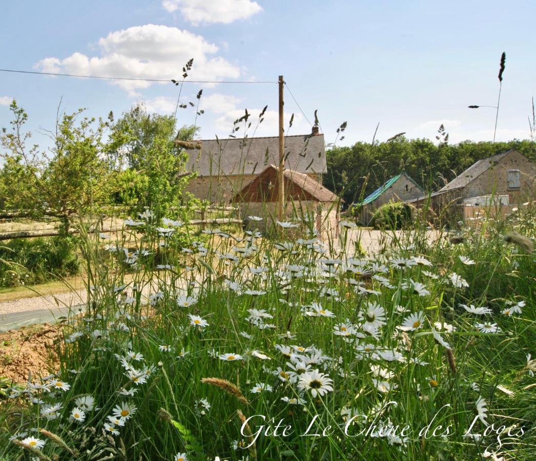 Gite Familial Pour 6 Pers En Campagne Bouere Buitenkant foto