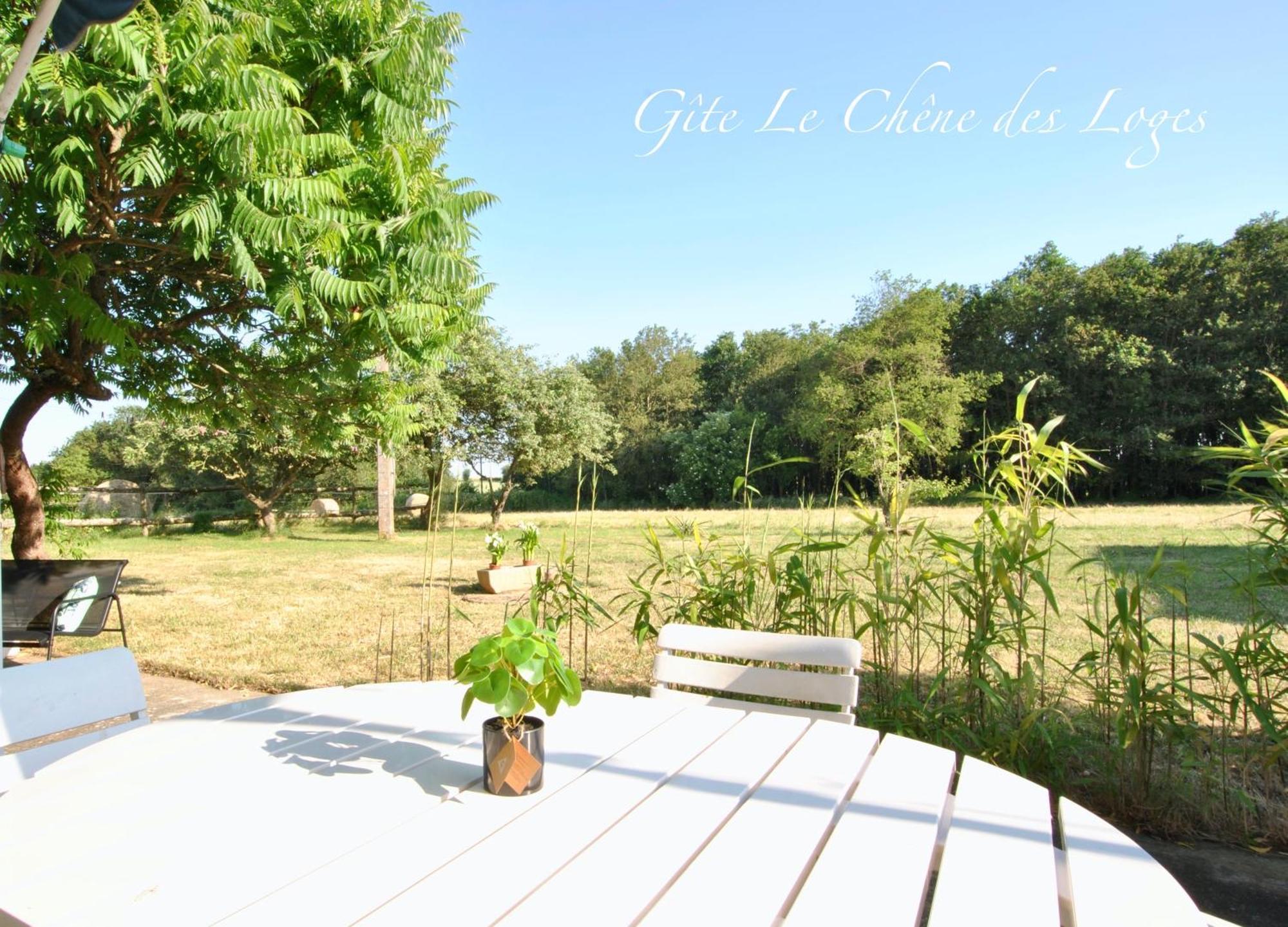 Gite Familial Pour 6 Pers En Campagne Bouere Buitenkant foto